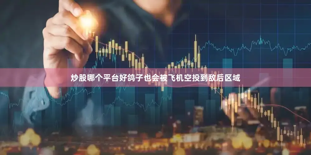 炒股哪个平台好鸽子也会被飞机空投到敌后区域