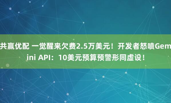 共赢优配 一觉醒来欠费2.5万美元！开发者怒喷Gemini API：10美元预算预警形同虚设！