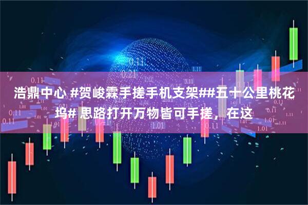 浩鼎中心 #贺峻霖手搓手机支架##五十公里桃花坞# 思路打开万物皆可手搓，在这