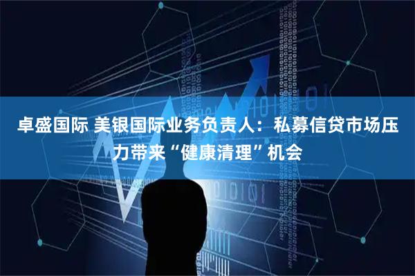 卓盛国际 美银国际业务负责人:私募信贷市场压力带来“健康清理”机会