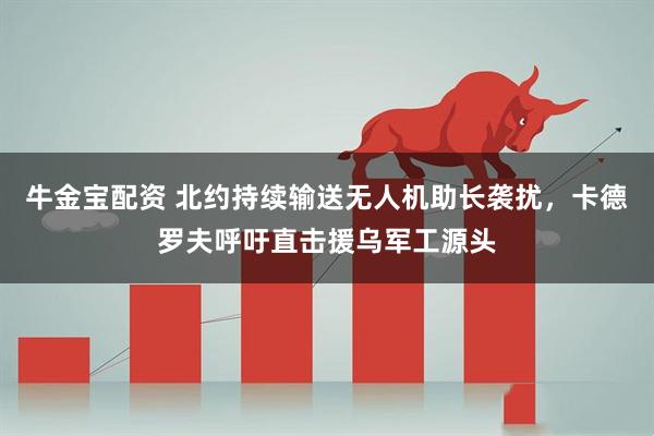 牛金宝配资 北约持续输送无人机助长袭扰,卡德罗夫呼吁直击援乌军工源头