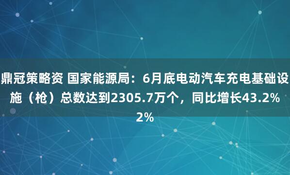 鼎冠策略资 国家能源局：6月底电动汽车充电基础设施（枪）总数达到2305.7万个，同比增长43.2%