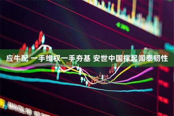 应牛配 一手维权一手夯基 安世中国撑起闻泰韧性